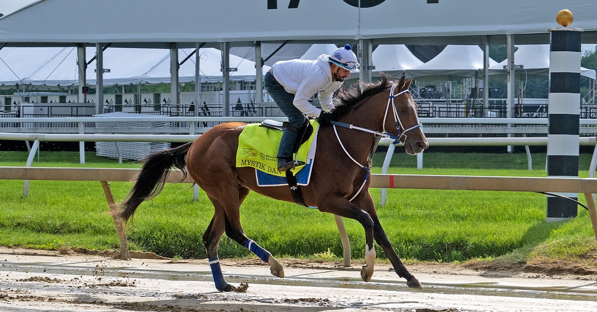 A racehorse getting a workout at Pimlico.