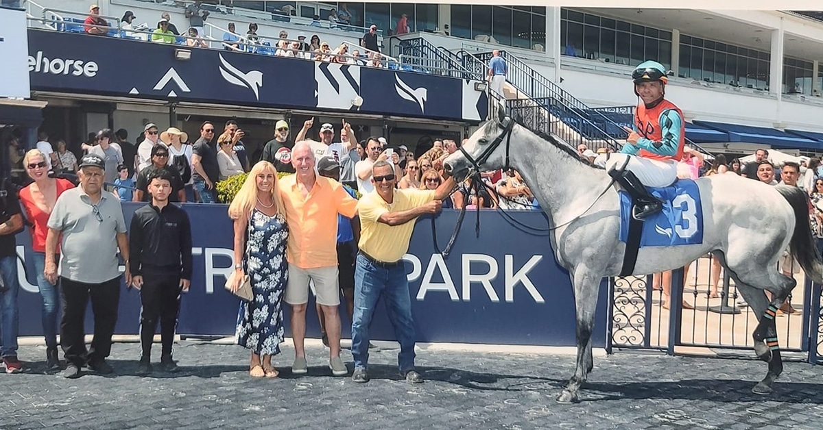 A winner's circle with a group of people and a grey horse.