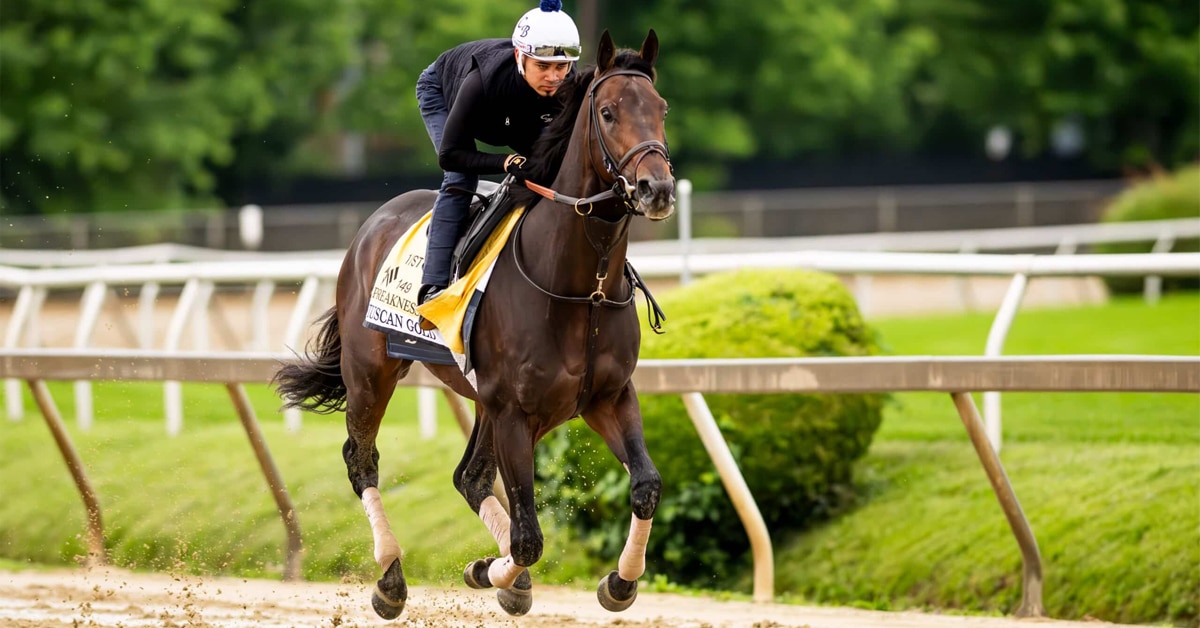 Thumbnail for 149th Preakness: Prospect of Sloppy Track Helps ‘Dan’