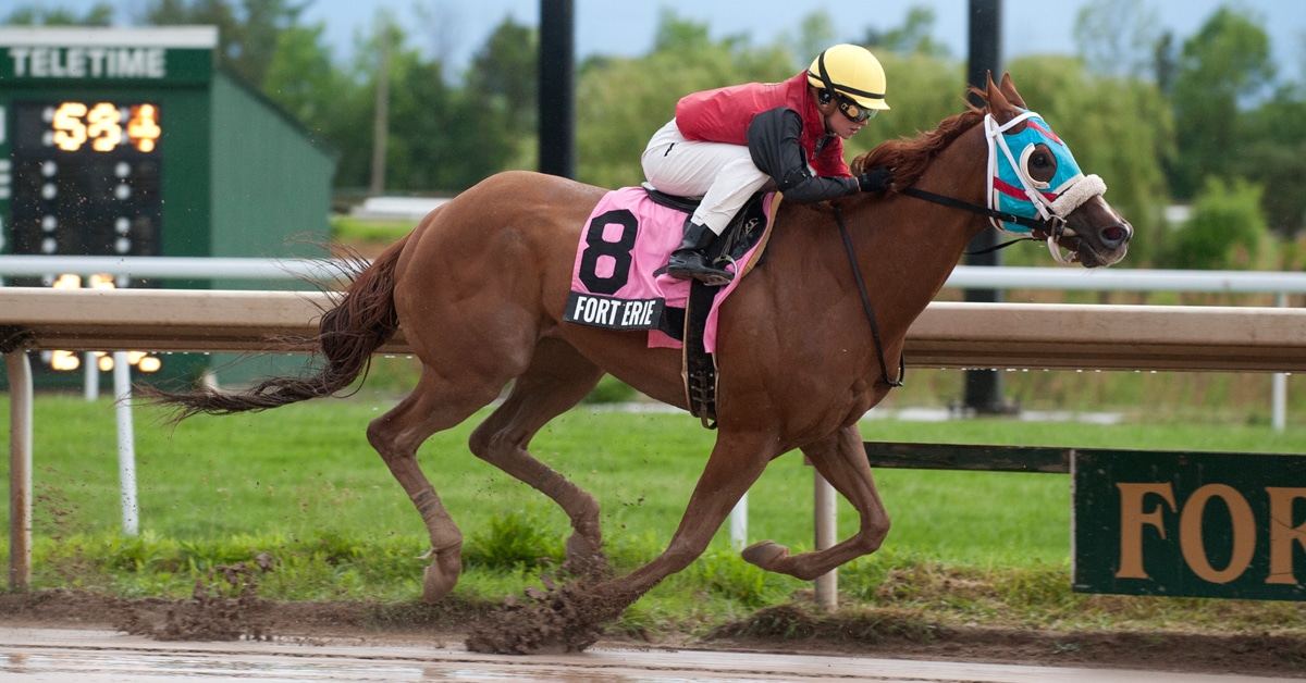 A chestnut horse racing at Fort Erie.