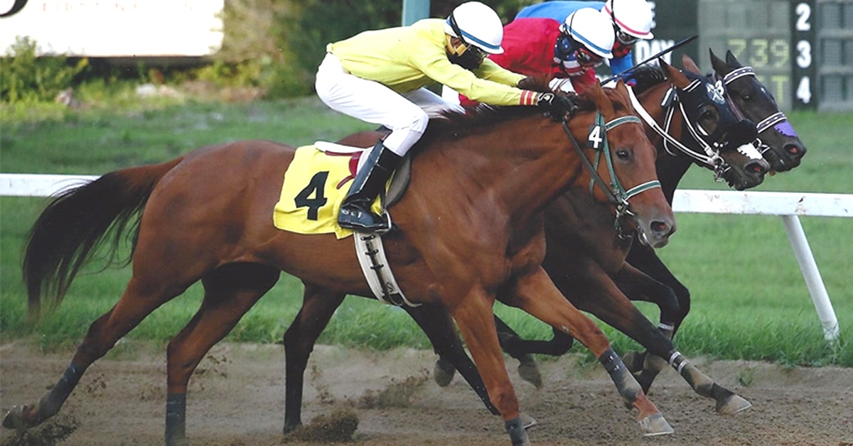 Thumbnail for Assiniboia Downs is Back with More Takeout Reductions for 2024