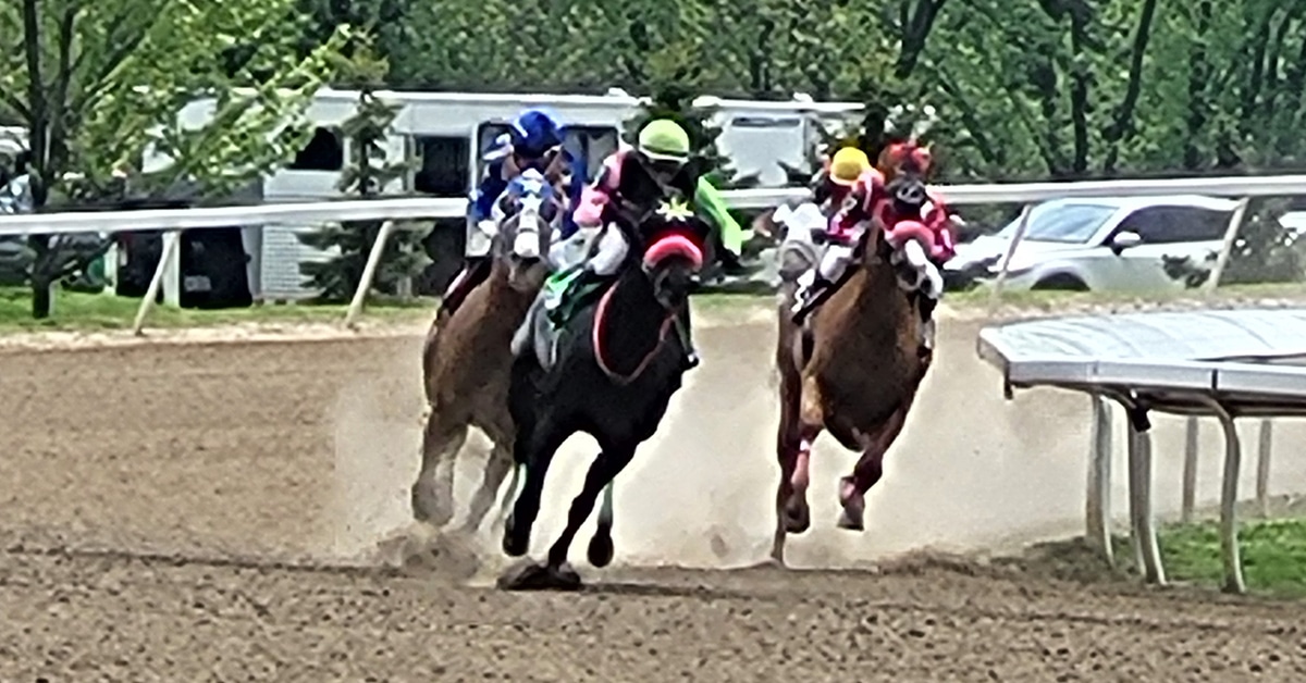 Four horses racing around a turn.