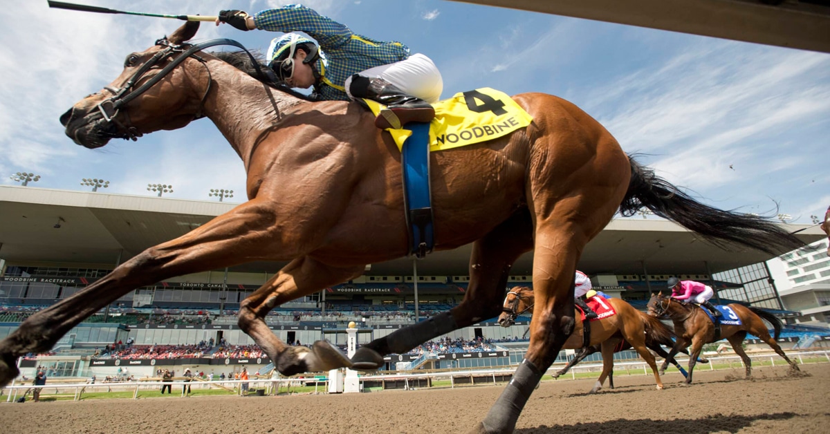 Thumbnail for Weekly Wrap: Canadian Racing, Woodbine Notes