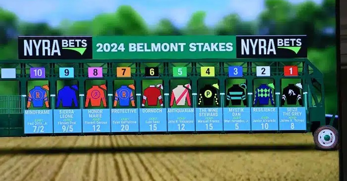 Starting gate for the Belmont.