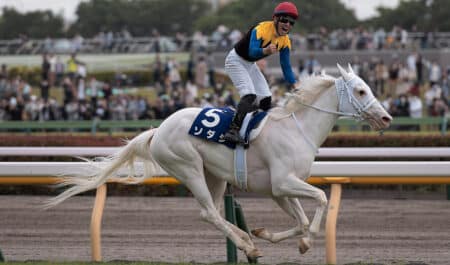 A white horse racing.