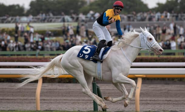 A white horse racing.
