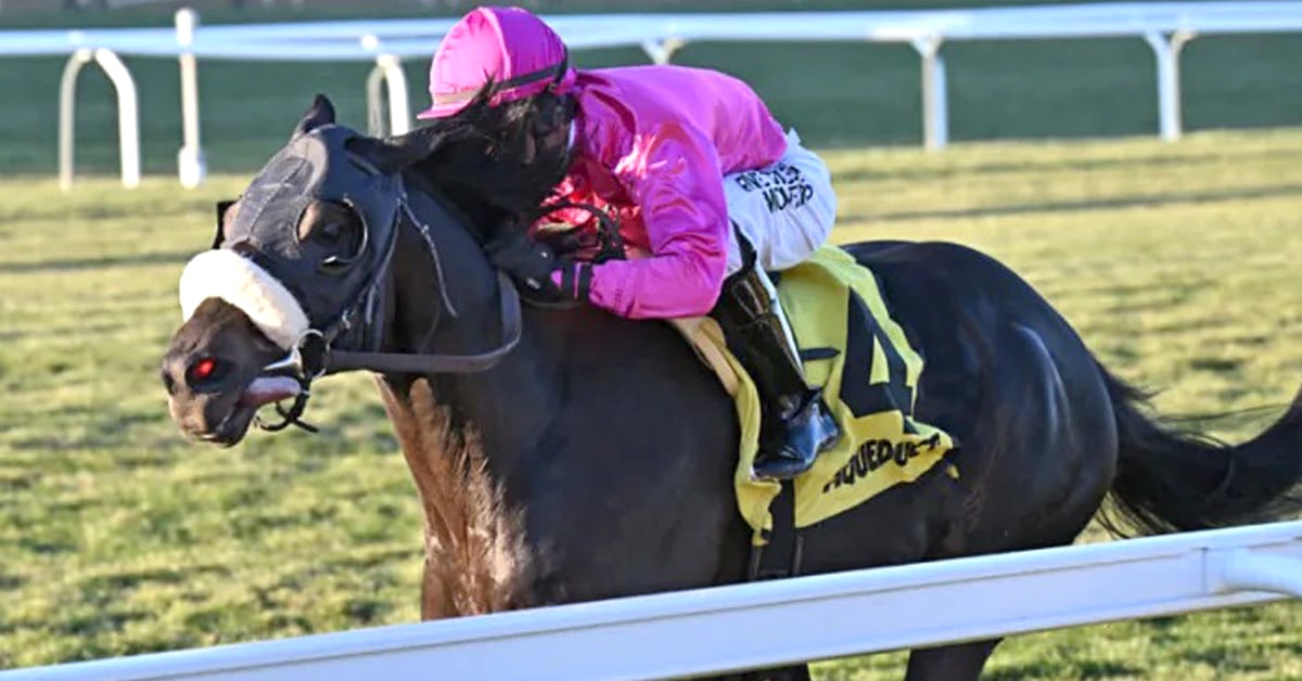A jocket with pink silks riding a dark bay racehorse in New York.