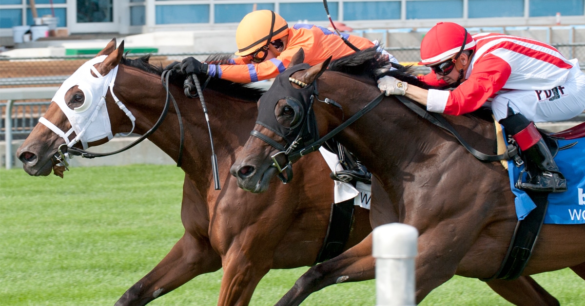 Horses racing to the wire at Woodbine.
