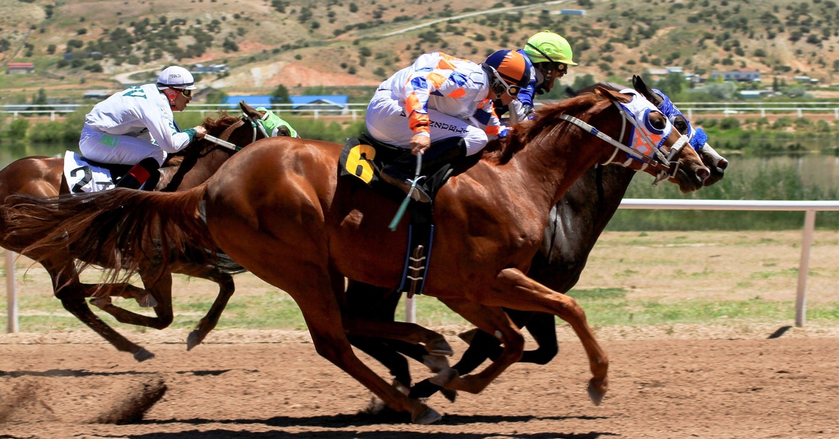 Thumbnail for US Federal Appeals Courts Split on Horse Racing Law