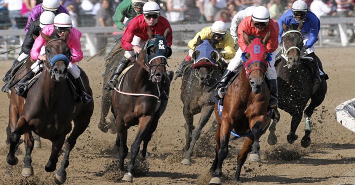 Thumbnail for Temporary Schedule Change at Assiniboia Downs