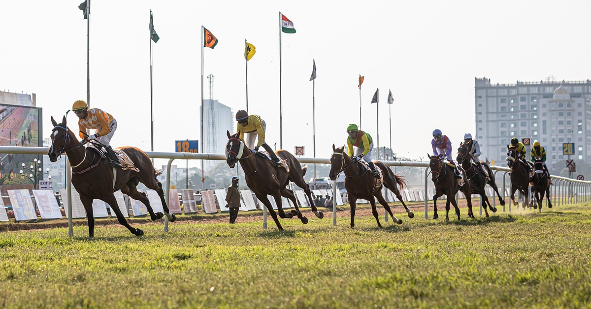 Horses racing clockwise on a turf track.