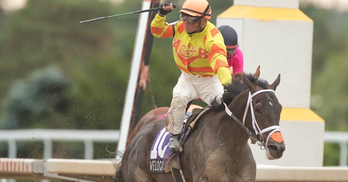 A jockey with first raised crossing the finish line at Fort Erie.