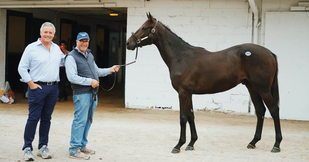 Two men standing with a bay yearling colt.